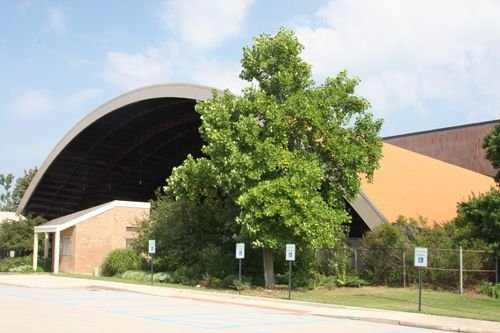 Curved roof building